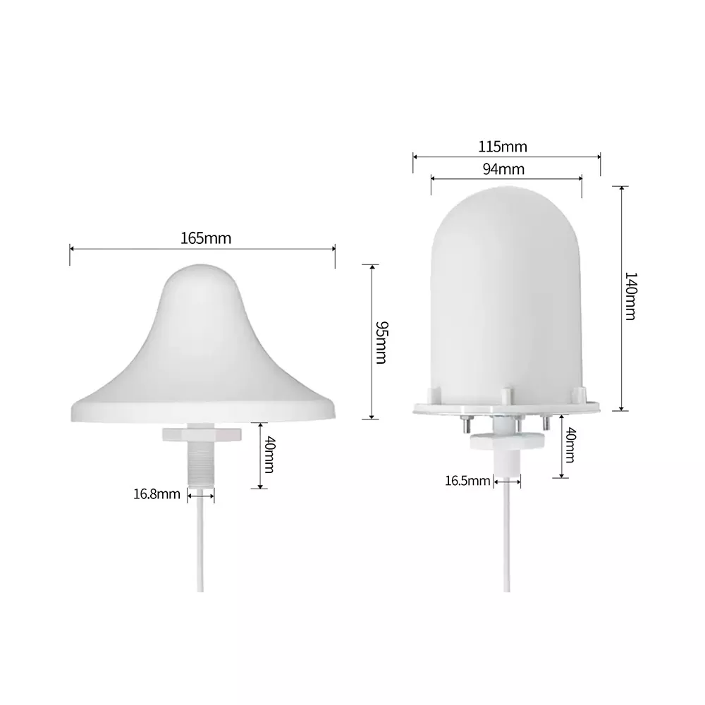 Tectum Antennae